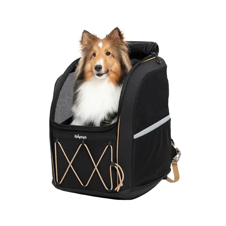 Champion Large Dog Carrier Backpack