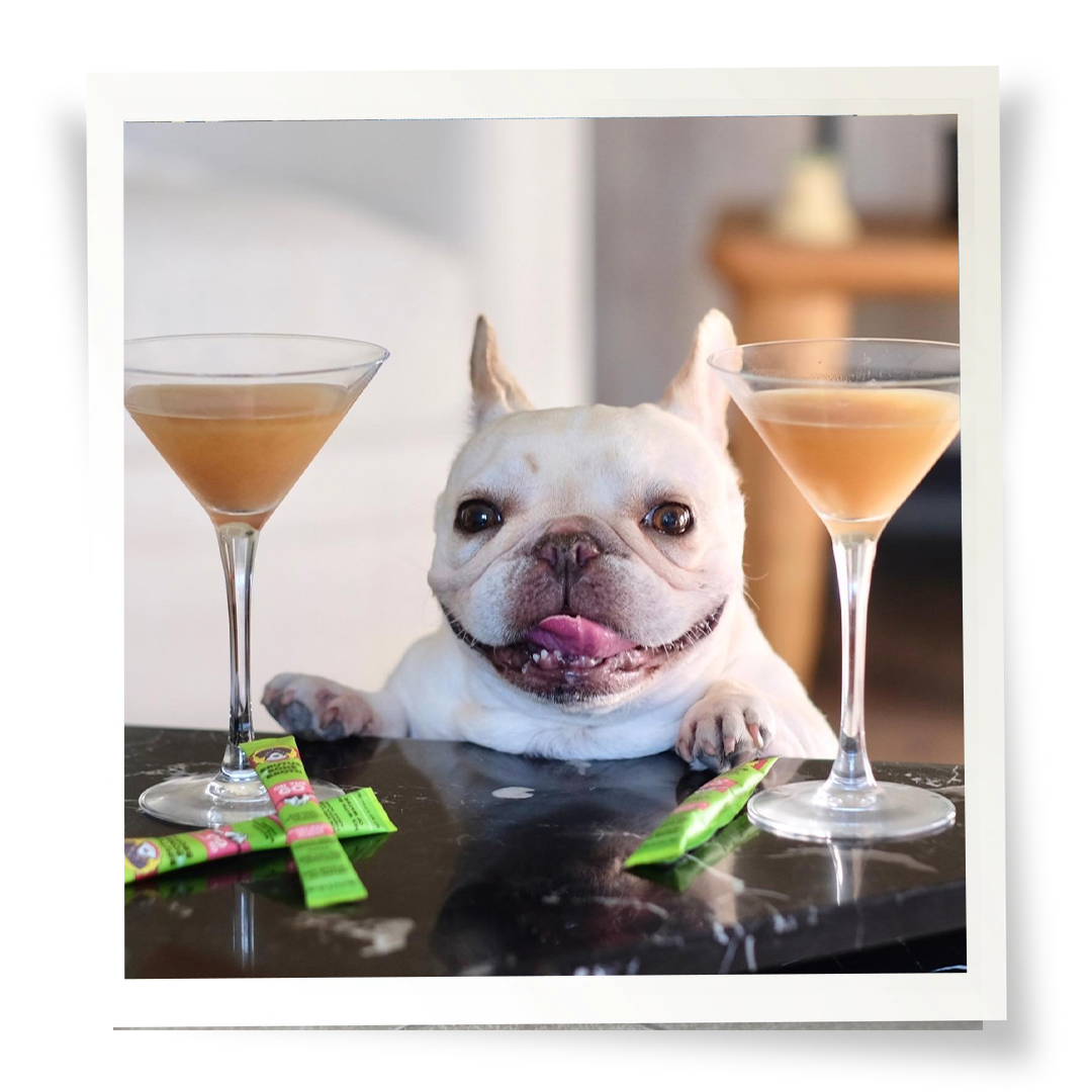 Brutus on the Go Vegetable Broth - Salmon Flavor