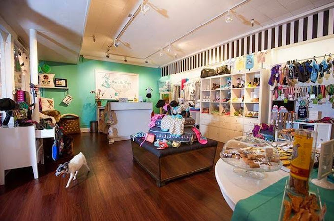 Bella & Lindy Pet Boutique