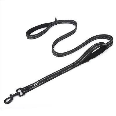 Dog Leash with Seat Belt Buckle