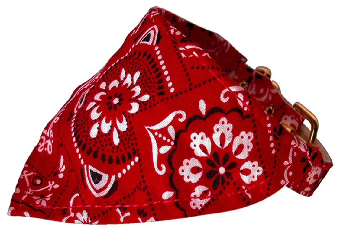 Pet and Dog Bandana Collar, "Western Group"