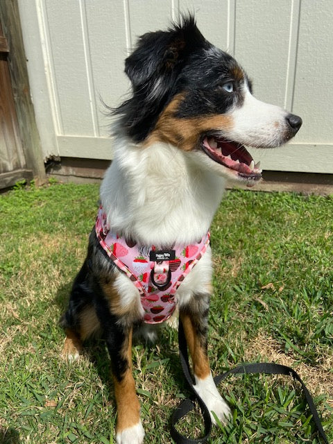 ChocoBerry Bliss Adjustable Harness
