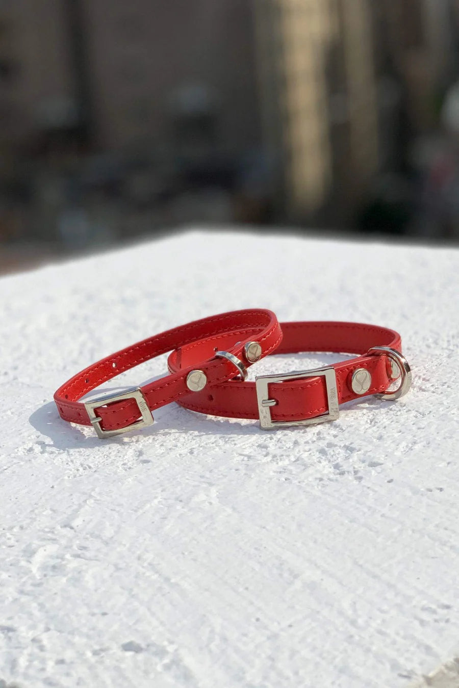 The Taylor Collar - Ruby Leather