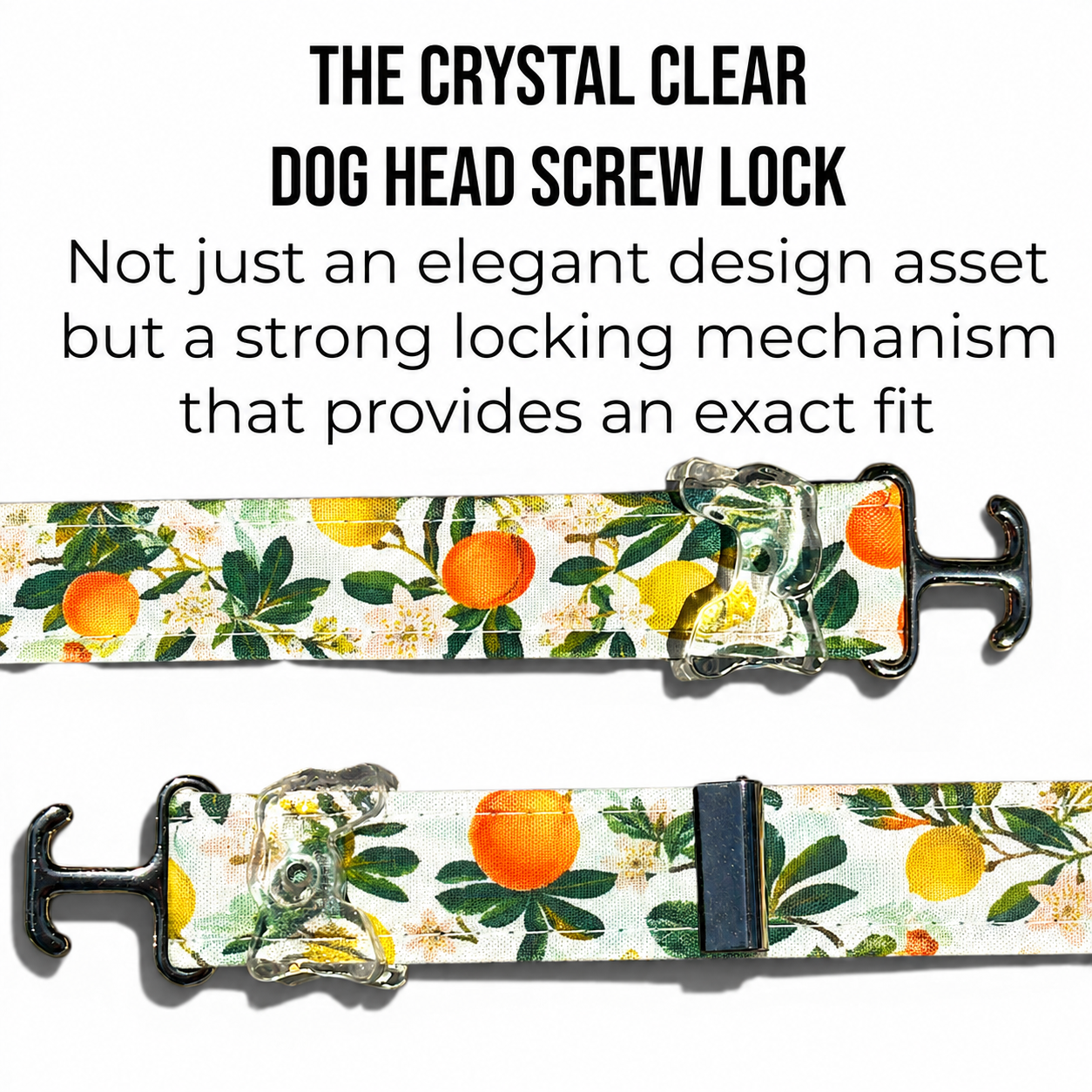 Classic Collar - Citrus Grove - Silver Hardware