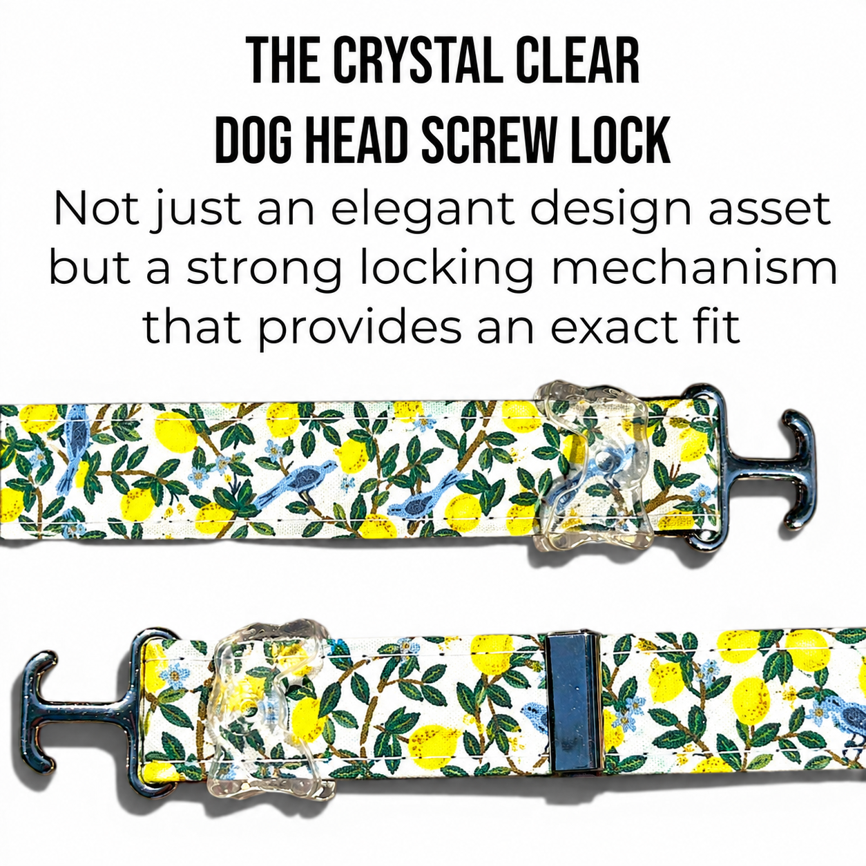 Classic Collar - Lemon Grove - Silver Hardware