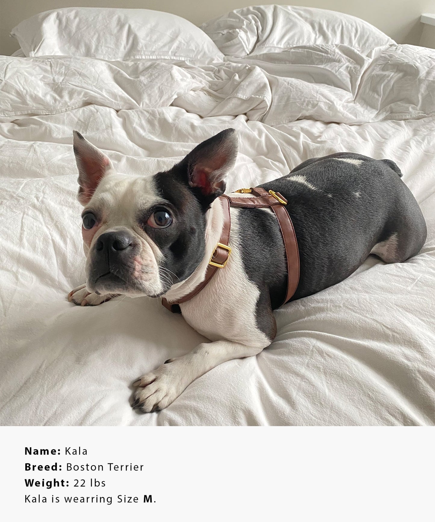 Vegan Leather Harness - Cocoa