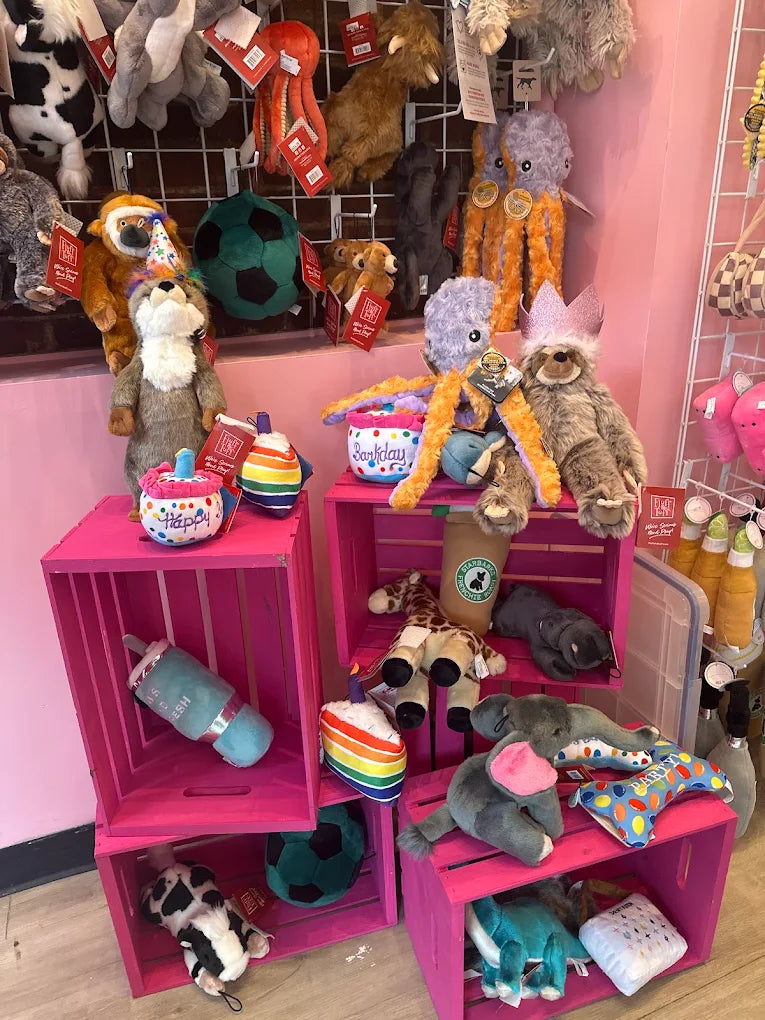 Woof Gang Bakery & Grooming