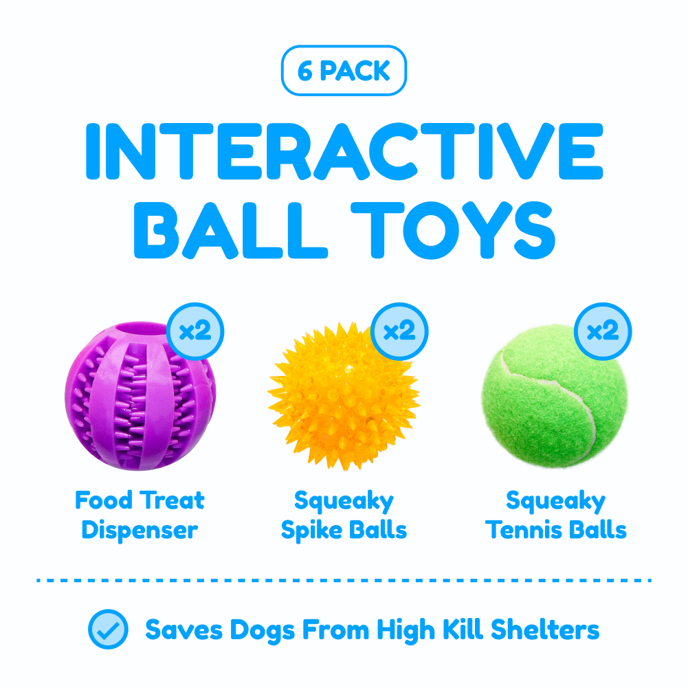 6 Balls Variety Pack