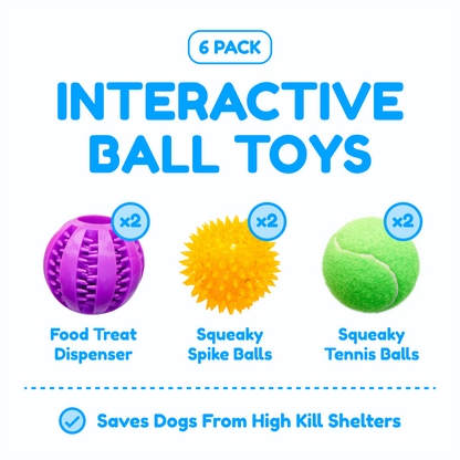 6 Balls Variety Pack