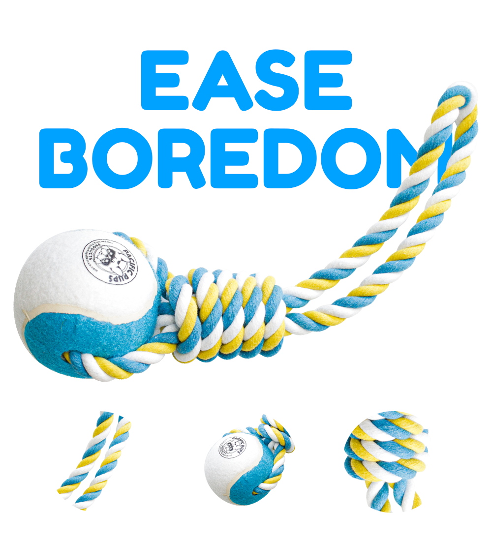 3 Piece XL Dog Rope Toy Set (for Medium and Large Dogs)