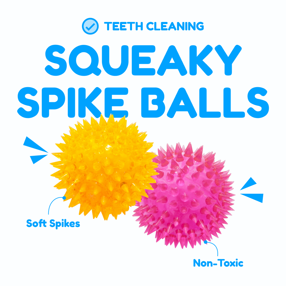 6 Balls Variety Pack