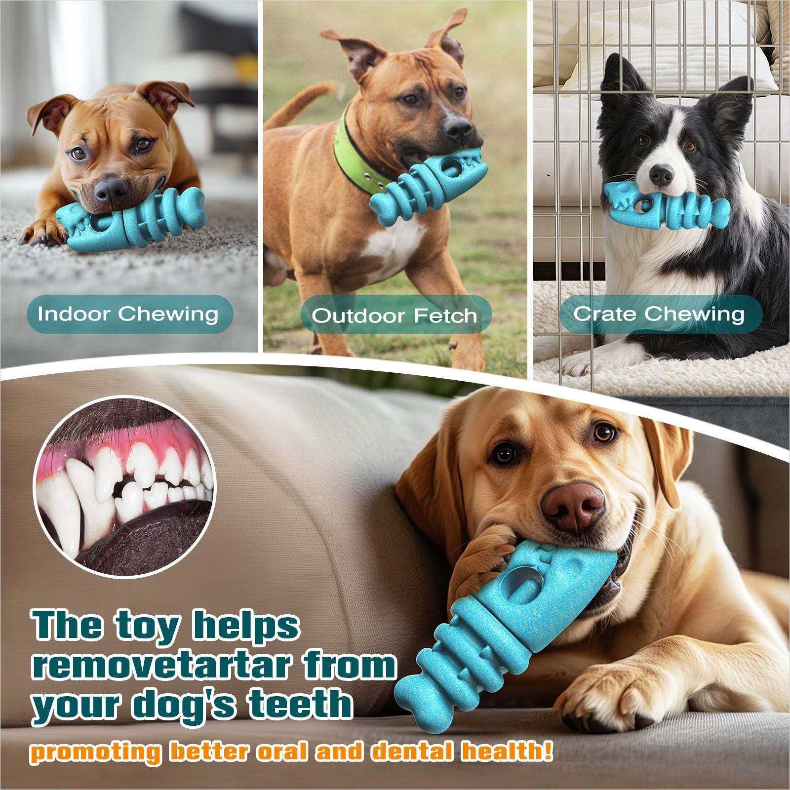 KADTC All in ONE 2 in 1 Large Size Indestructible Dog Bully Stick Holder & Durable Fish Bone for Medium/Large Aggressive Chewers Breed Dogs Tough Chew Toys Christmas & New Year Gift