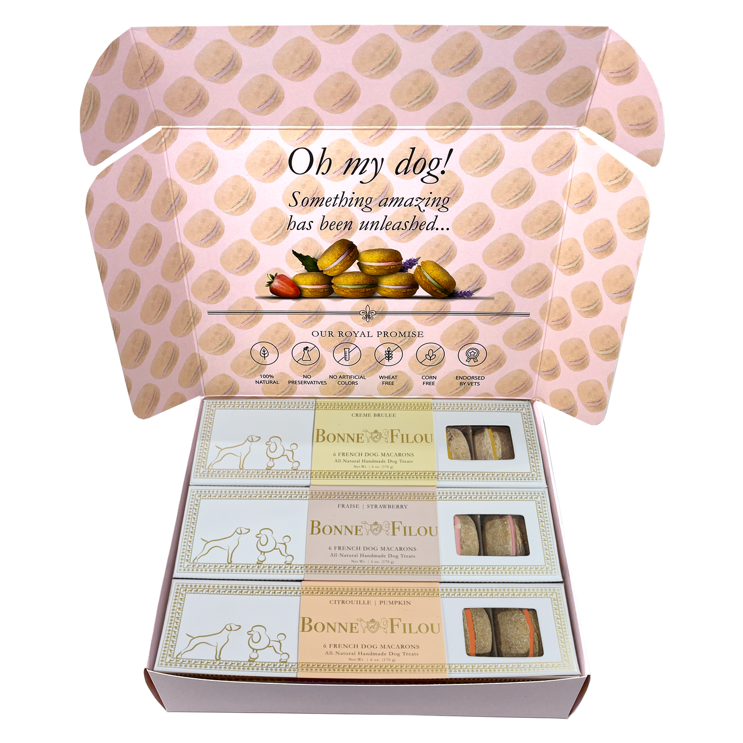 Dog macaron combo with creme brulee, strawberry, and pumpkin flavors – gourmet treats for dogs