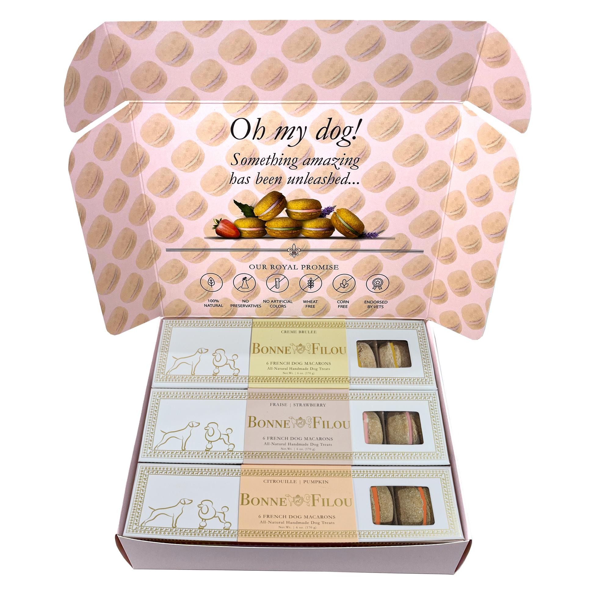 Dog macaron combo with creme brulee, strawberry, and pumpkin flavors – gourmet treats for dogs