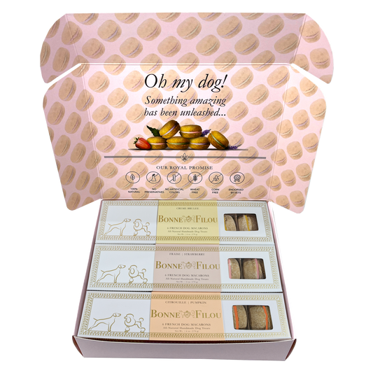 Dog macaron combo with creme brulee, strawberry, and pumpkin flavors – gourmet treats for dogs