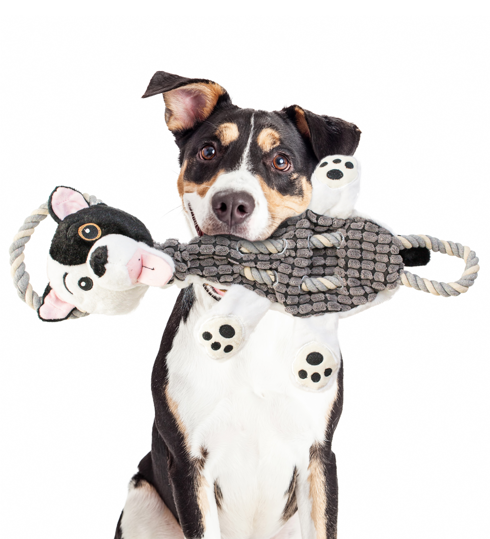 Rescue Rovers: Reese (for Medium and Large Dogs)