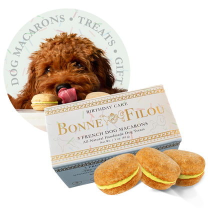 Dog Macarons (Box of 3) - Bonne et Filou