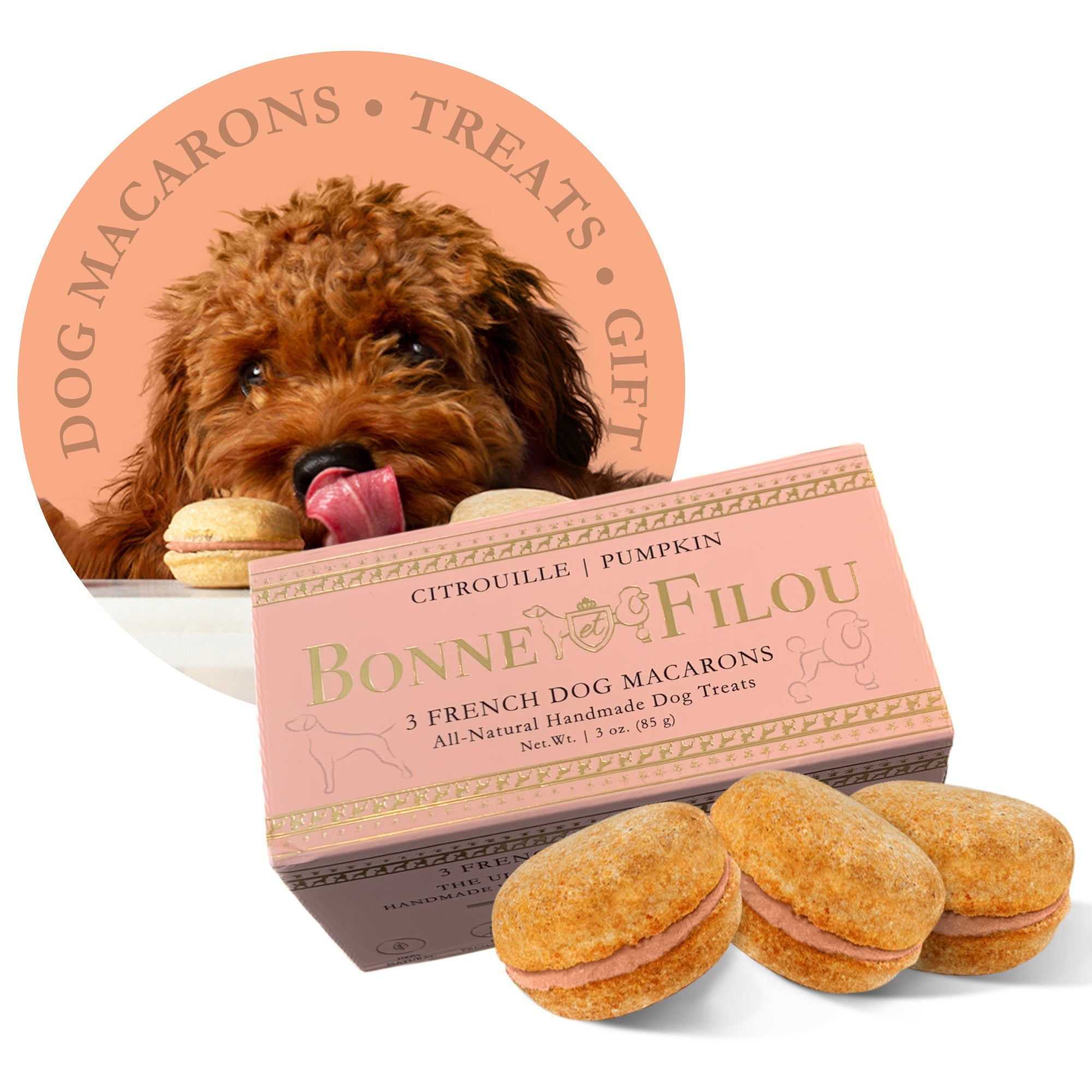 Dog Macarons (Box of 3) - Bonne et Filou