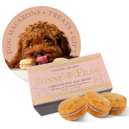 Dog Macarons (Box of 3)