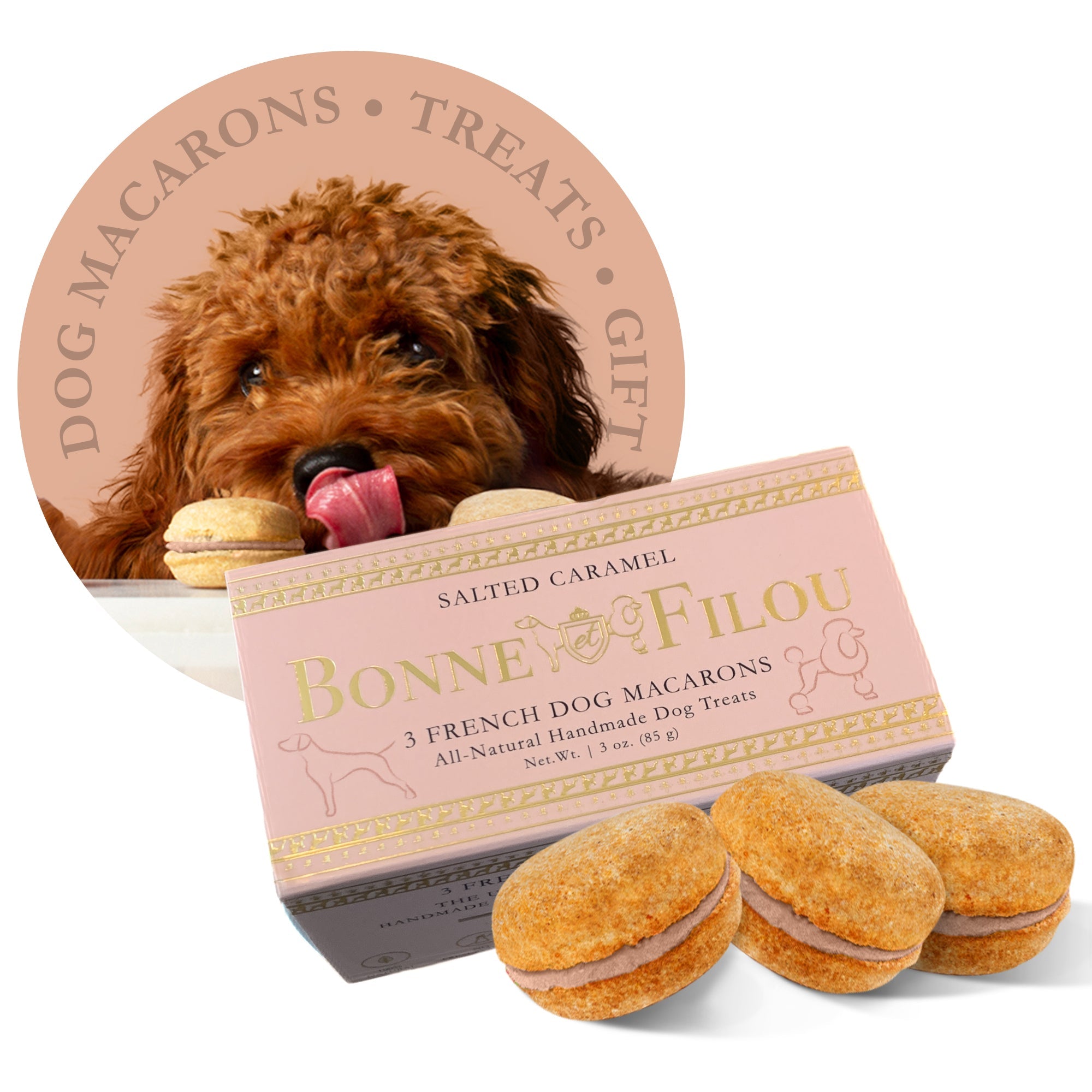 Dog Macarons (Box of 3)