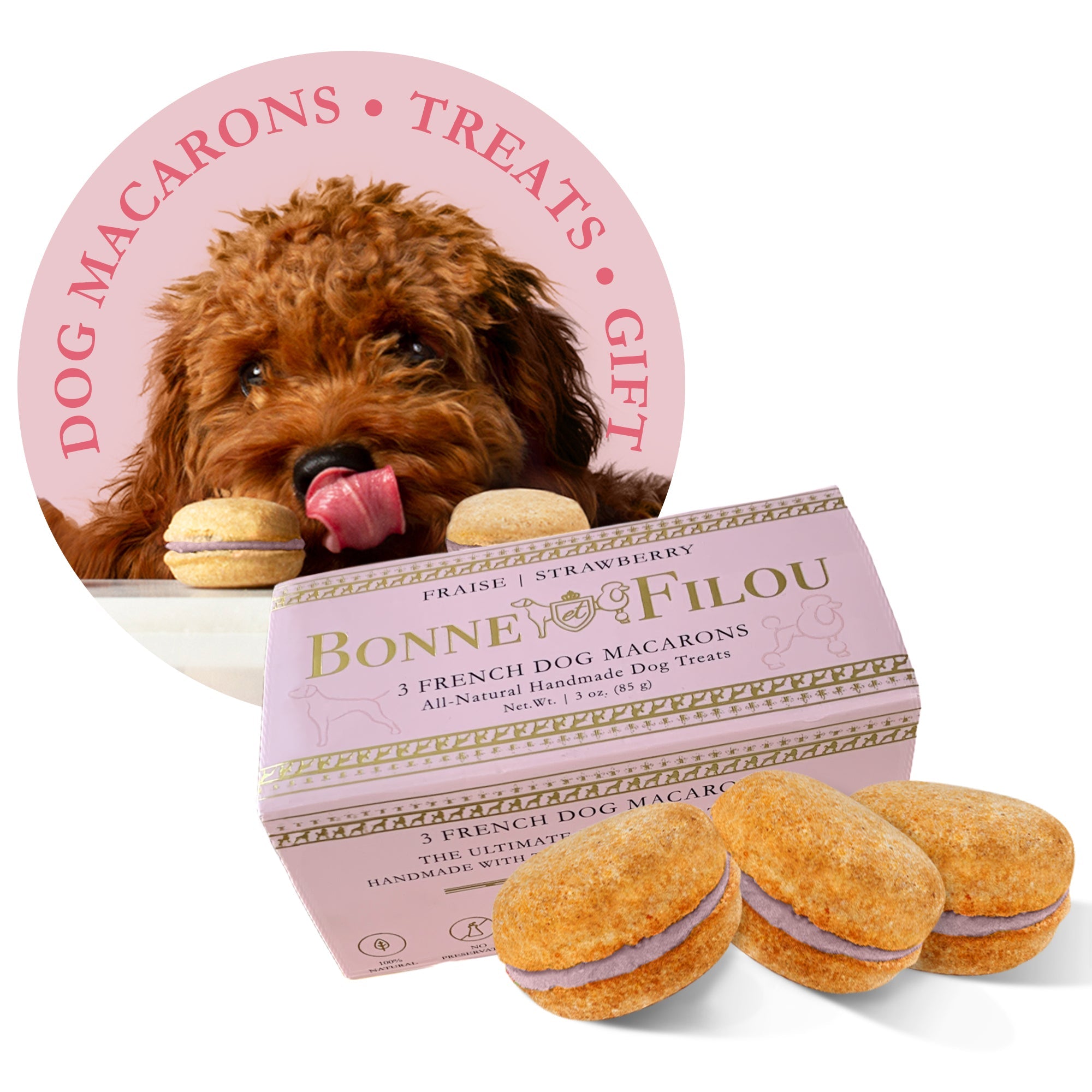 Dog Macarons (Box of 3) - Bonne et Filou
