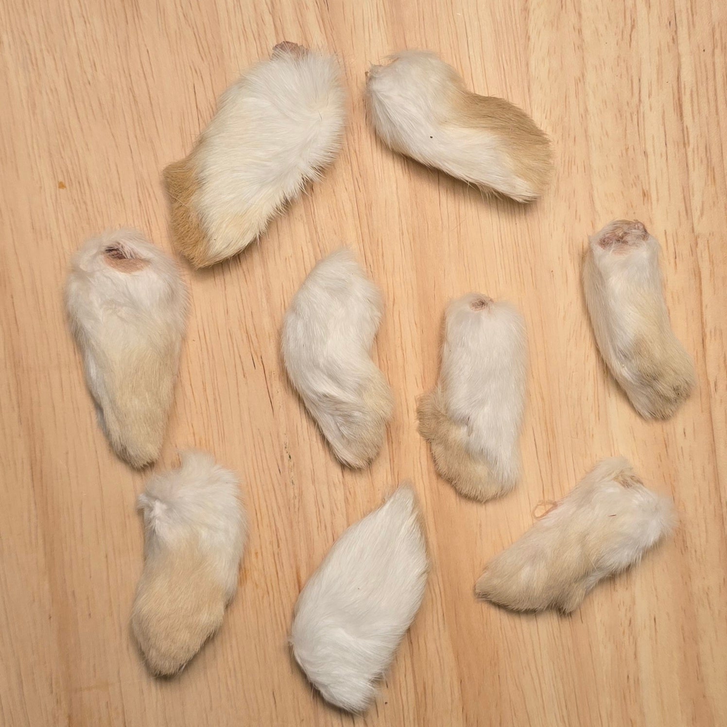 Rabbit Feet (Front)