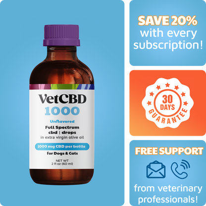 Standard Formula CBD Tinctures for Dogs & Cats