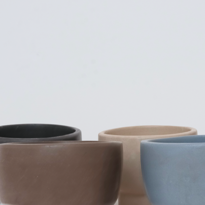 2-in-1 Flower Frog Vessel