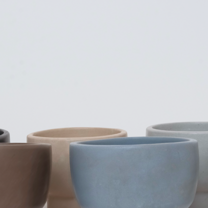 2-in-1 Flower Frog Vessel