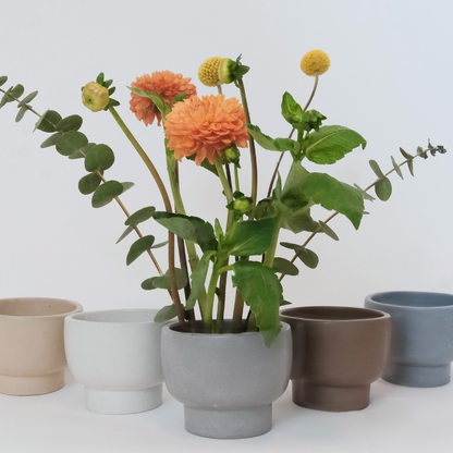 2-in-1 Flower Frog Vessel