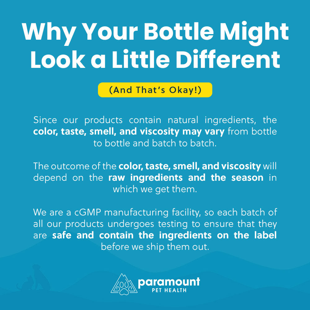 Liquid Vitamins for Dogs