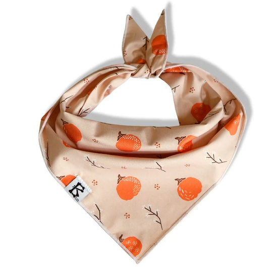 "Pumpkin Patch" Bandana