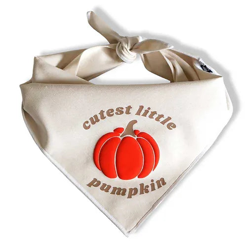 "Cutest Little Pumpkin" Bandana