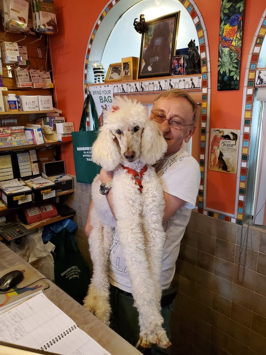 Rainbow Pet Supplies & Groom