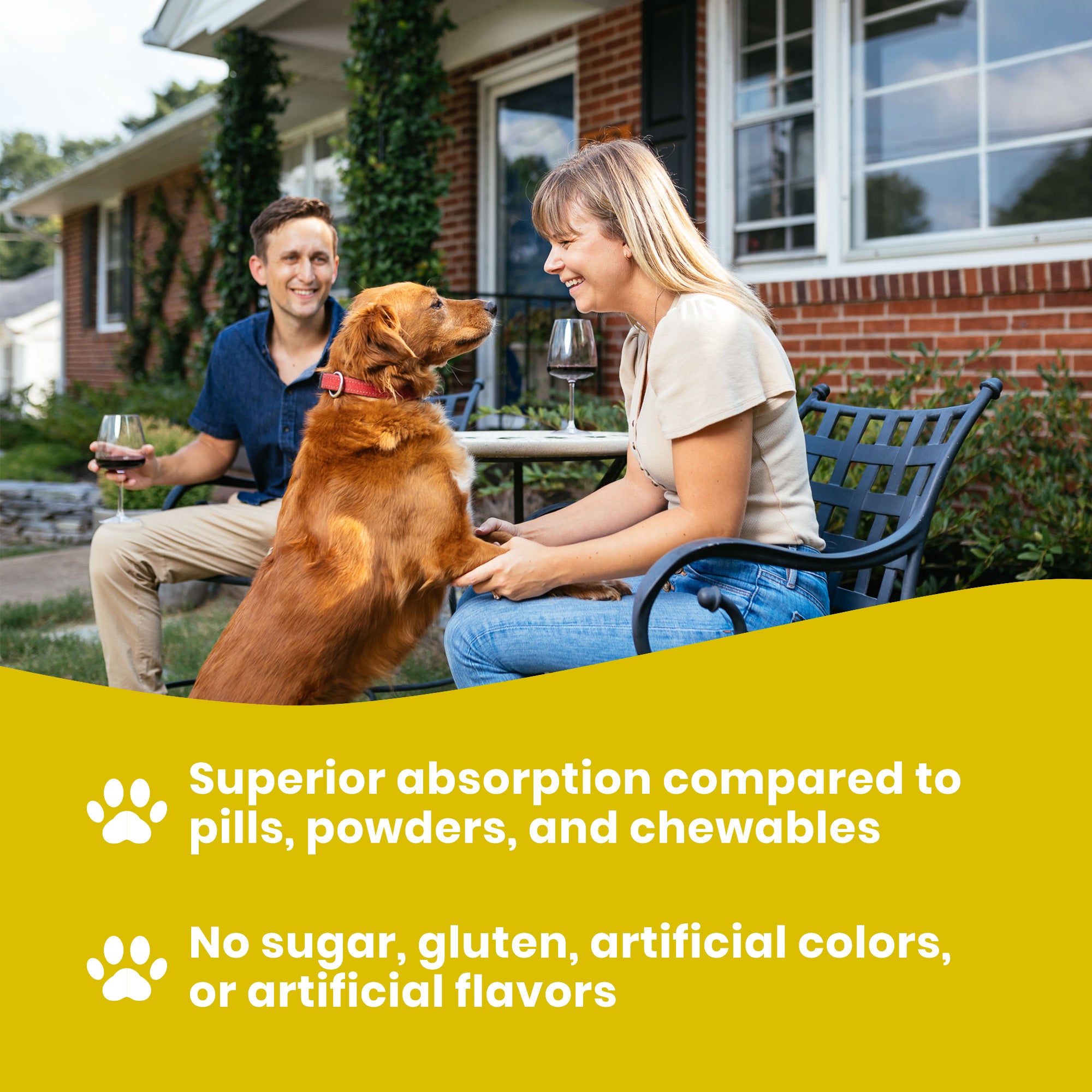 Liquid Vitamins for Dogs