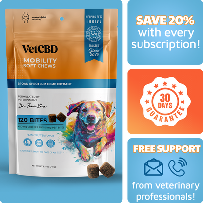 CBD Mobility Chews for Dogs