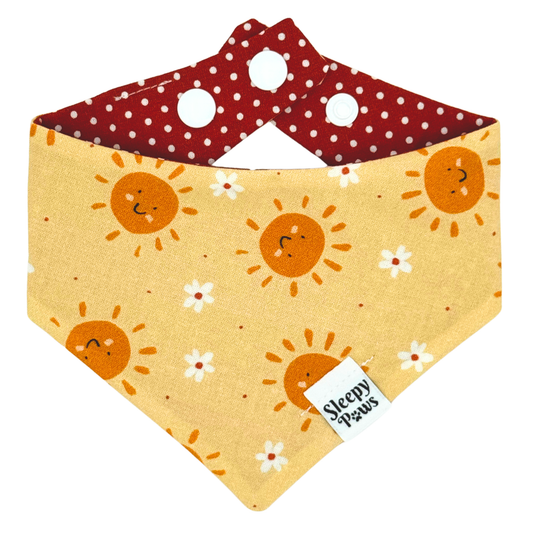 Warm Summers Pet Bandana