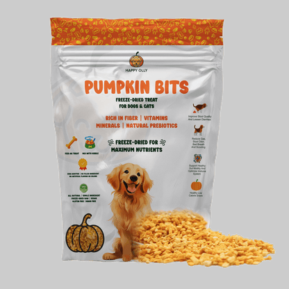 Happy Olly Single Ingredient Freeze Dried Pumpkin Bits