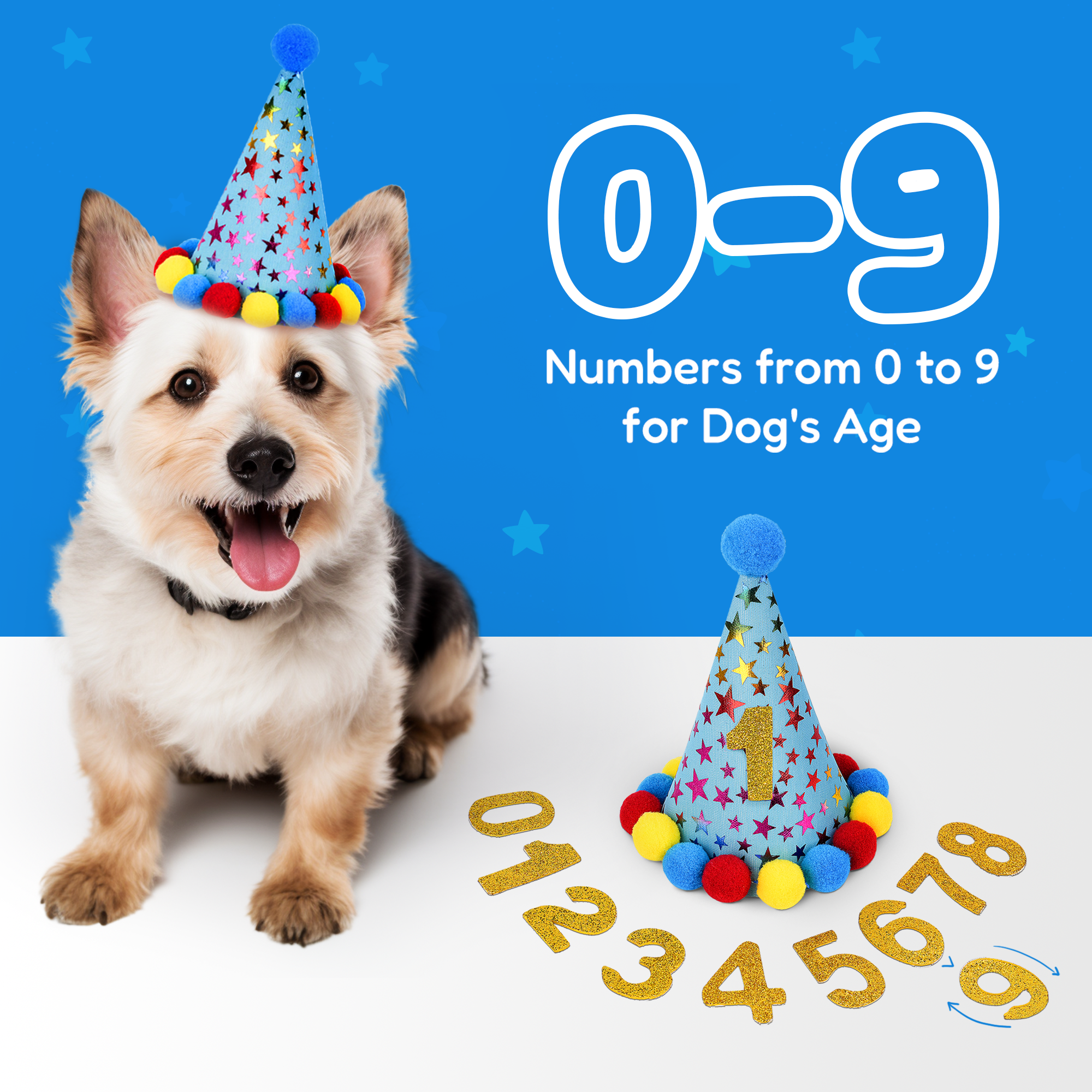 Dog Birthday Party Set - Blue Stars