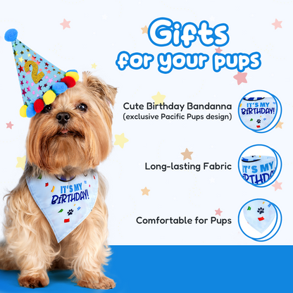 Dog Birthday Party Set - Blue Stars