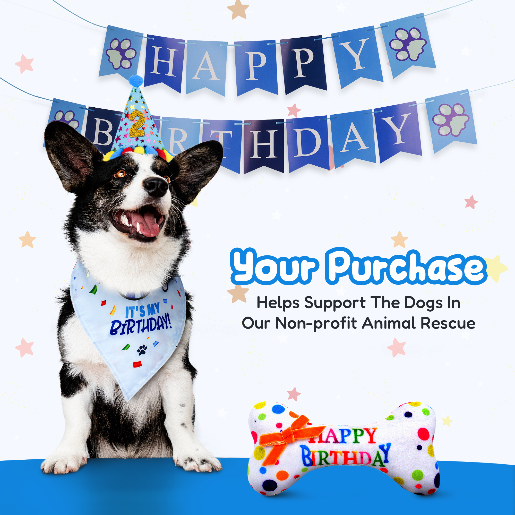 Dog Birthday Party Set - Blue Stars