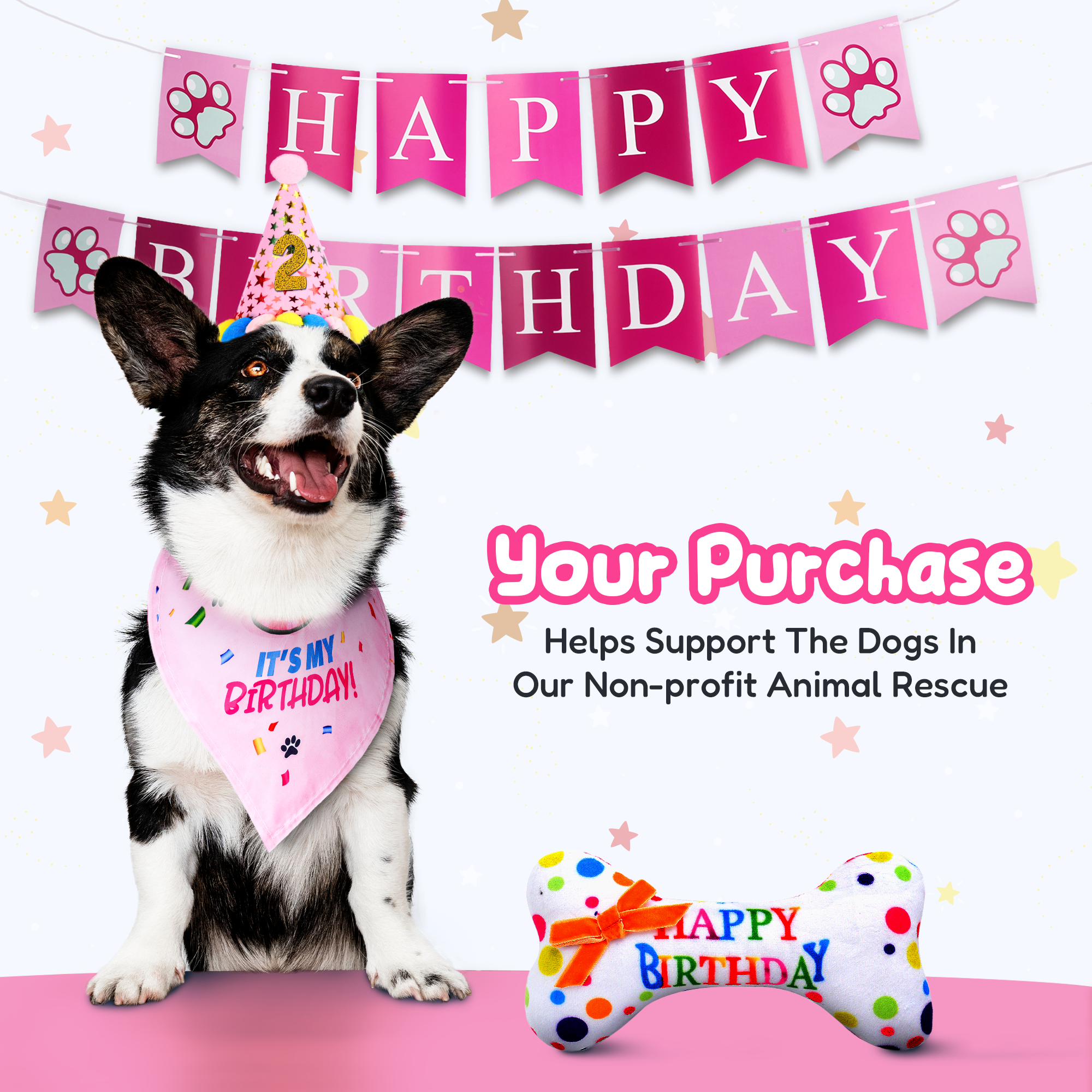 Dog Birthday Party Set - Pink Stars