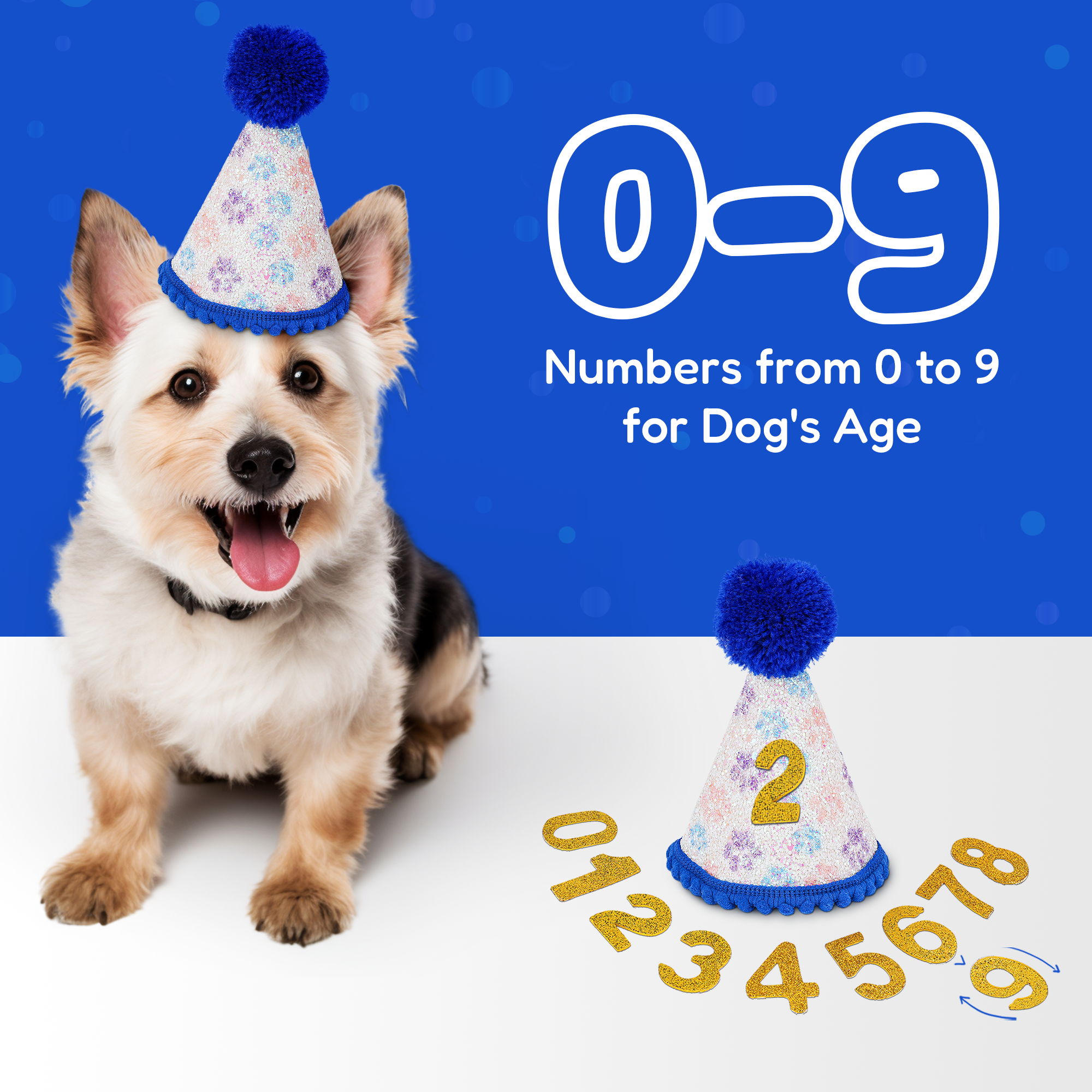Dog Birthday Party Set - Blue Sparkly Paws