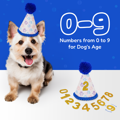 Dog Birthday Party Set - Blue Sparkly Paws