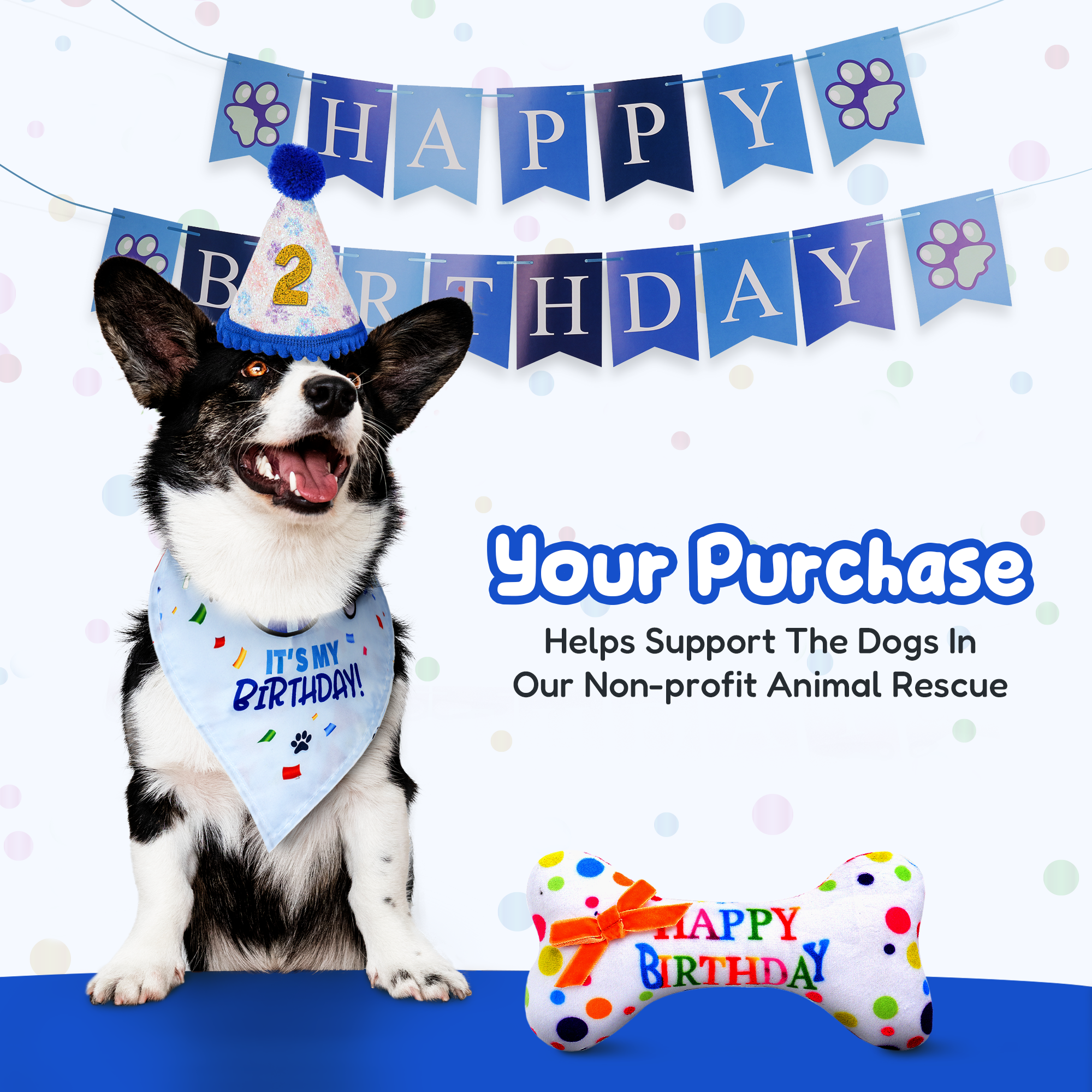 Dog Birthday Party Set - Blue Sparkly Paws