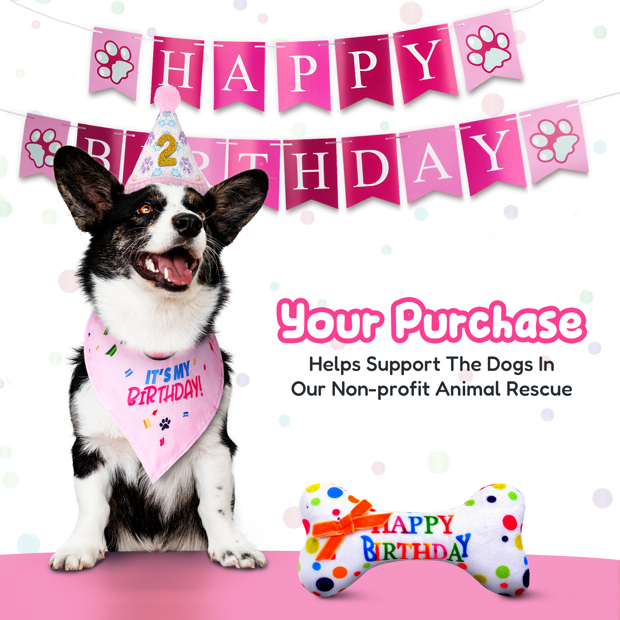 Dog Birthday Party Set - Pink Sparkly Paws