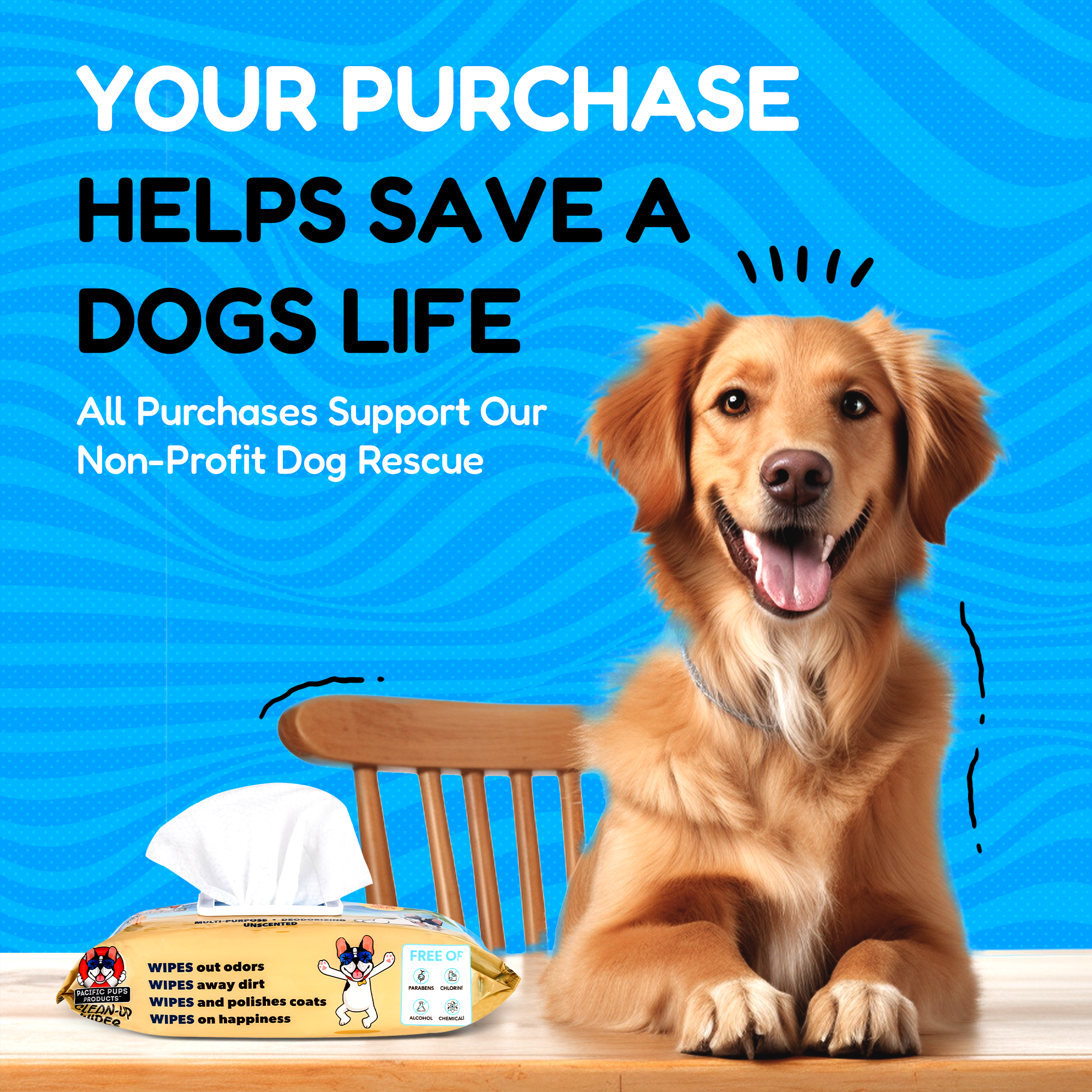 Pet Wipes for Dogs & Cats - 100ct