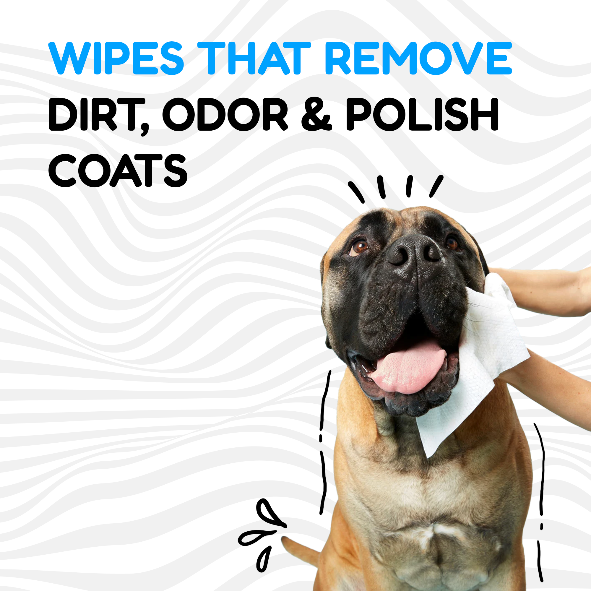 Pet Wipes for Dogs & Cats - 100ct