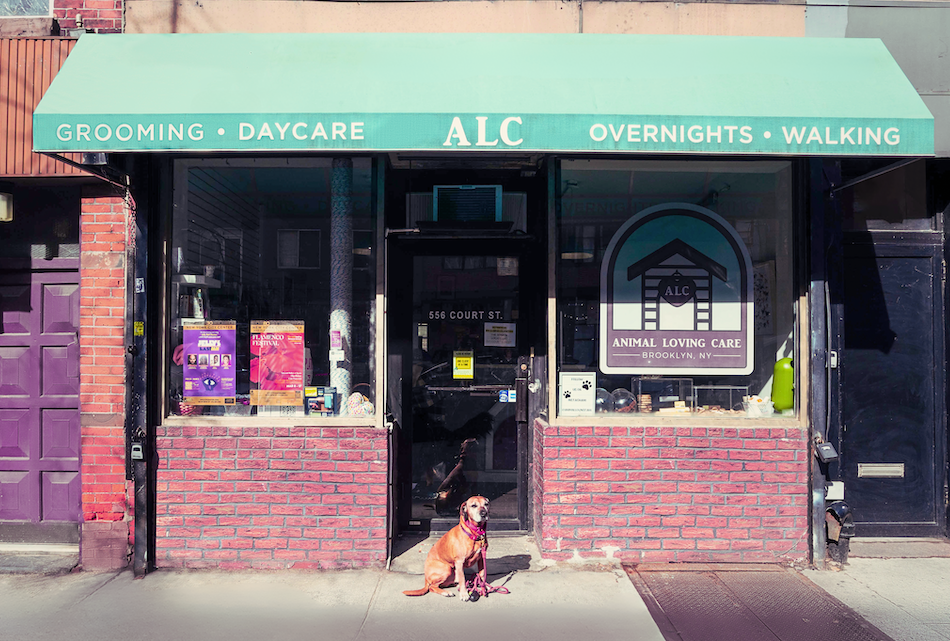 19d924aa-28ce-4d48-b3a6-8ad3ad374c69-950x641.png__PID:edf22eba-c835-424d-920d-ee5f190e907d