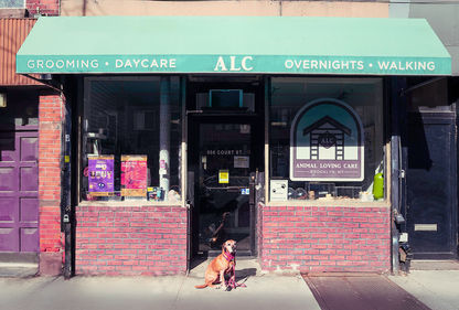 19d924aa-28ce-4d48-b3a6-8ad3ad374c69-950x641.png__PID:edf22eba-c835-424d-920d-ee5f190e907d